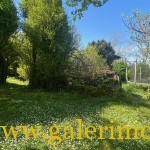 tarn et garonne maison for sale Charme & Confort